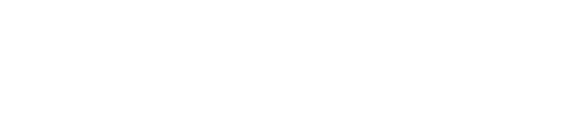 Adobe Logo